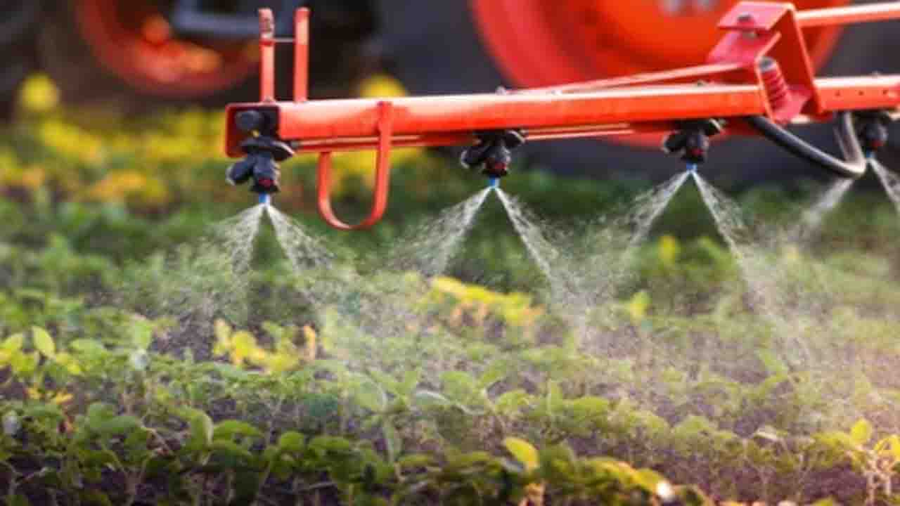 Systemic Herbicide spraying