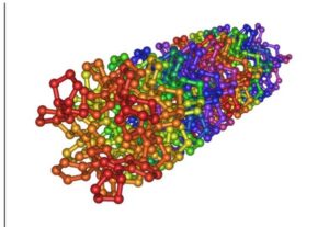 Fibrous protein