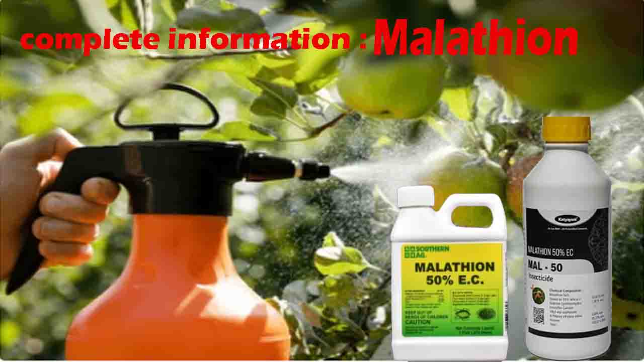 malathion