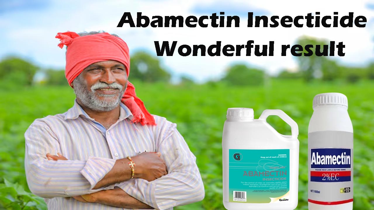 Abamectin insecticide