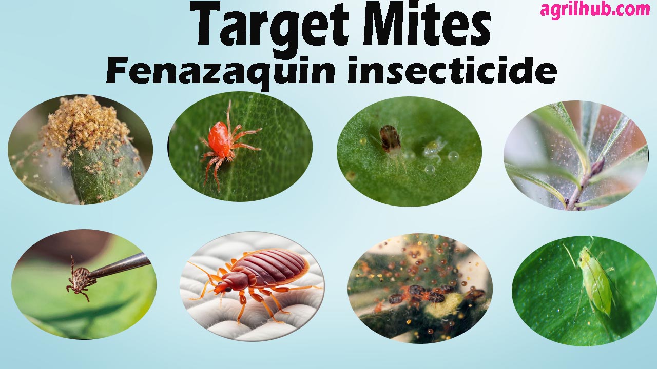 Fenazaquin insecticide target mites