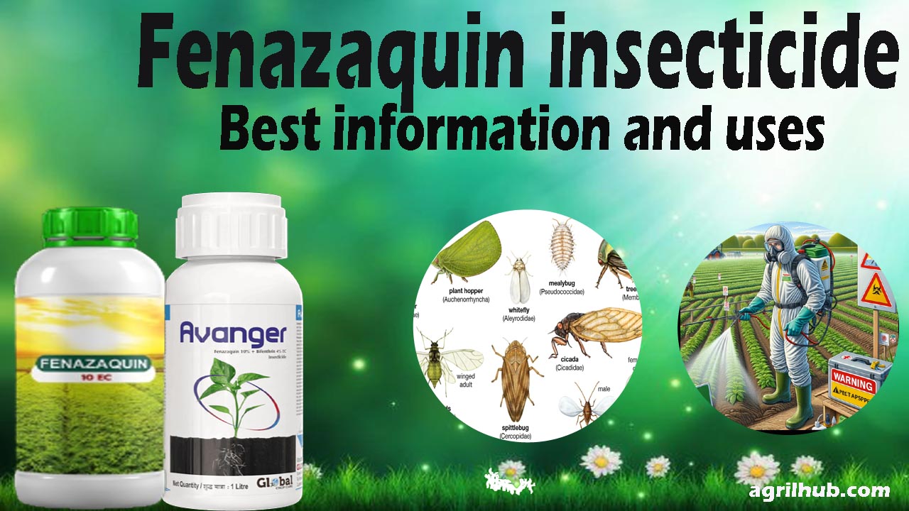 fenazaquin Insecticide