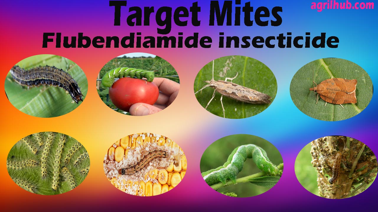 Target insects