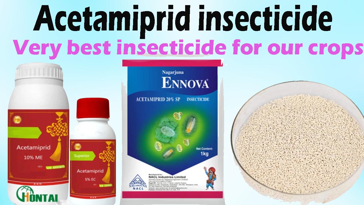 Acetamiprid insecticide