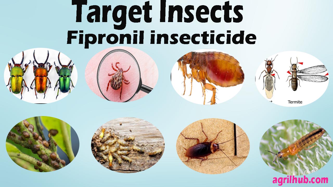 fipronil insecticide Target insects