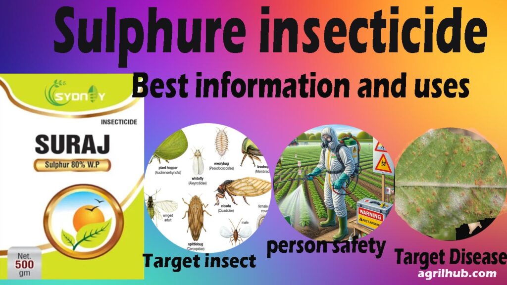 Sulphur insecticide